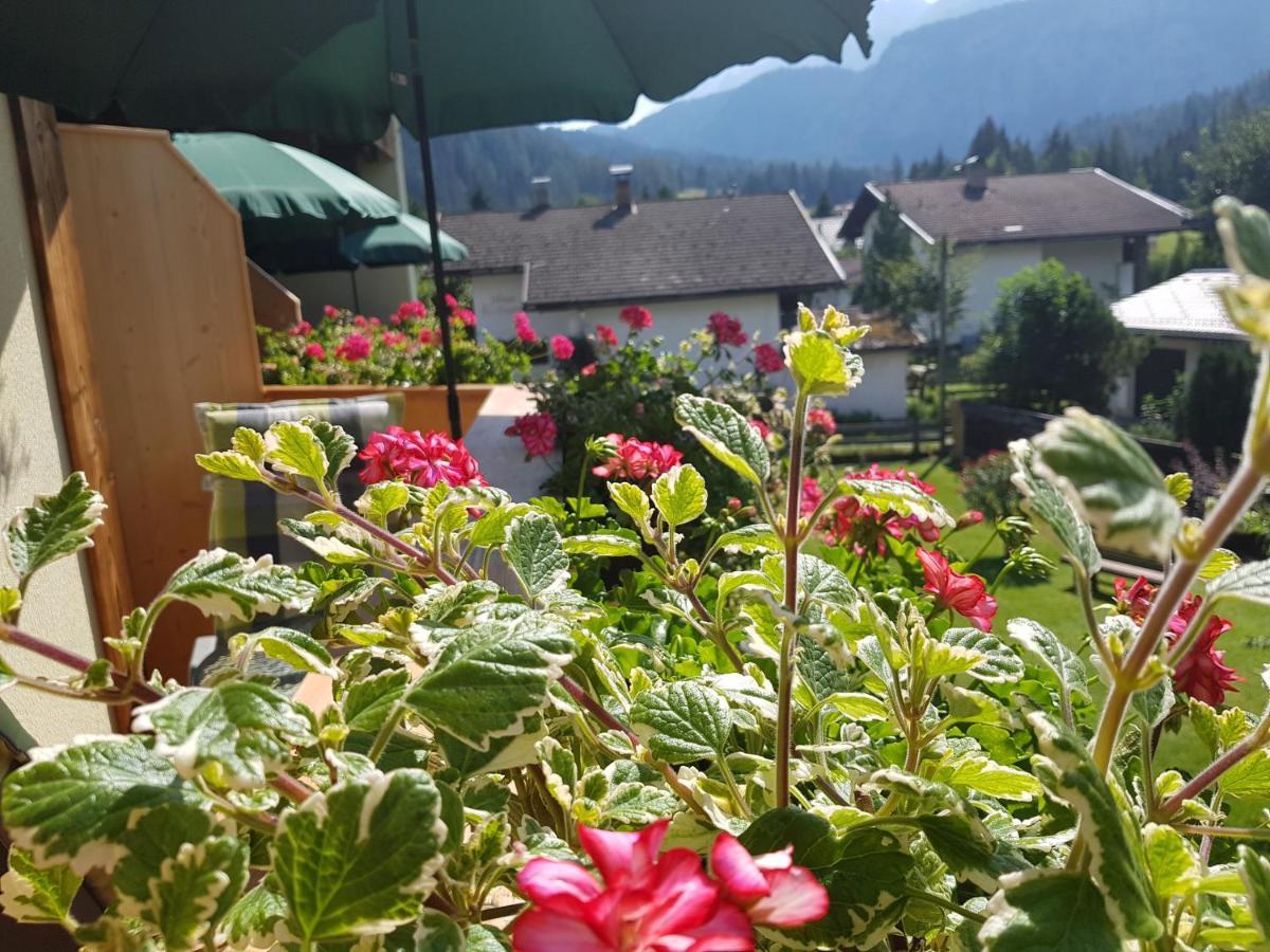 Gaestehaus Schoeneweiss Ehrwald Exteriér fotografie